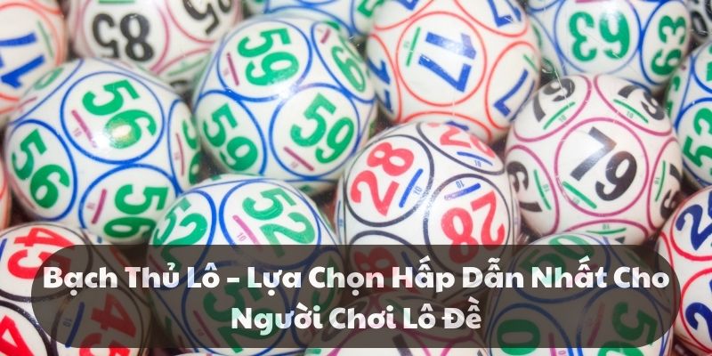 Bạch thủ lô – Lựa chọn hấp dẫn nhất cho người chơi lô đề